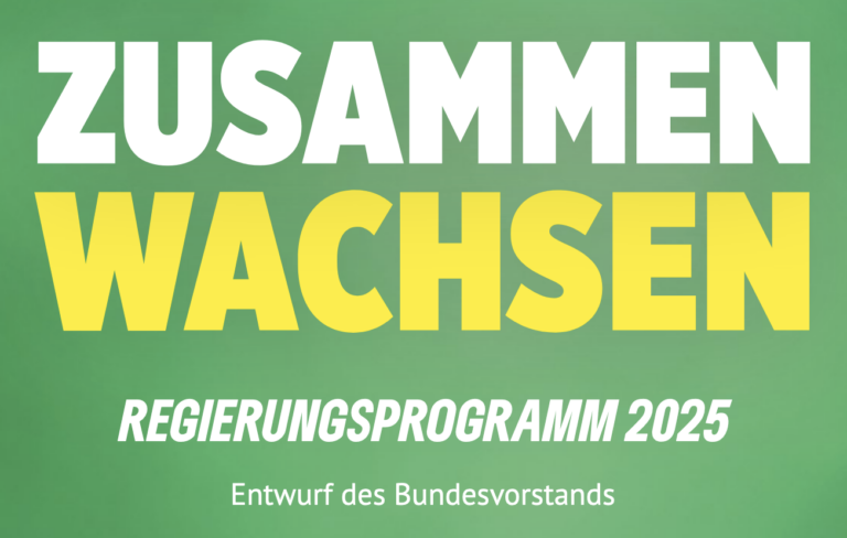 Unser Wahlprogramm zur Bundestagswahl